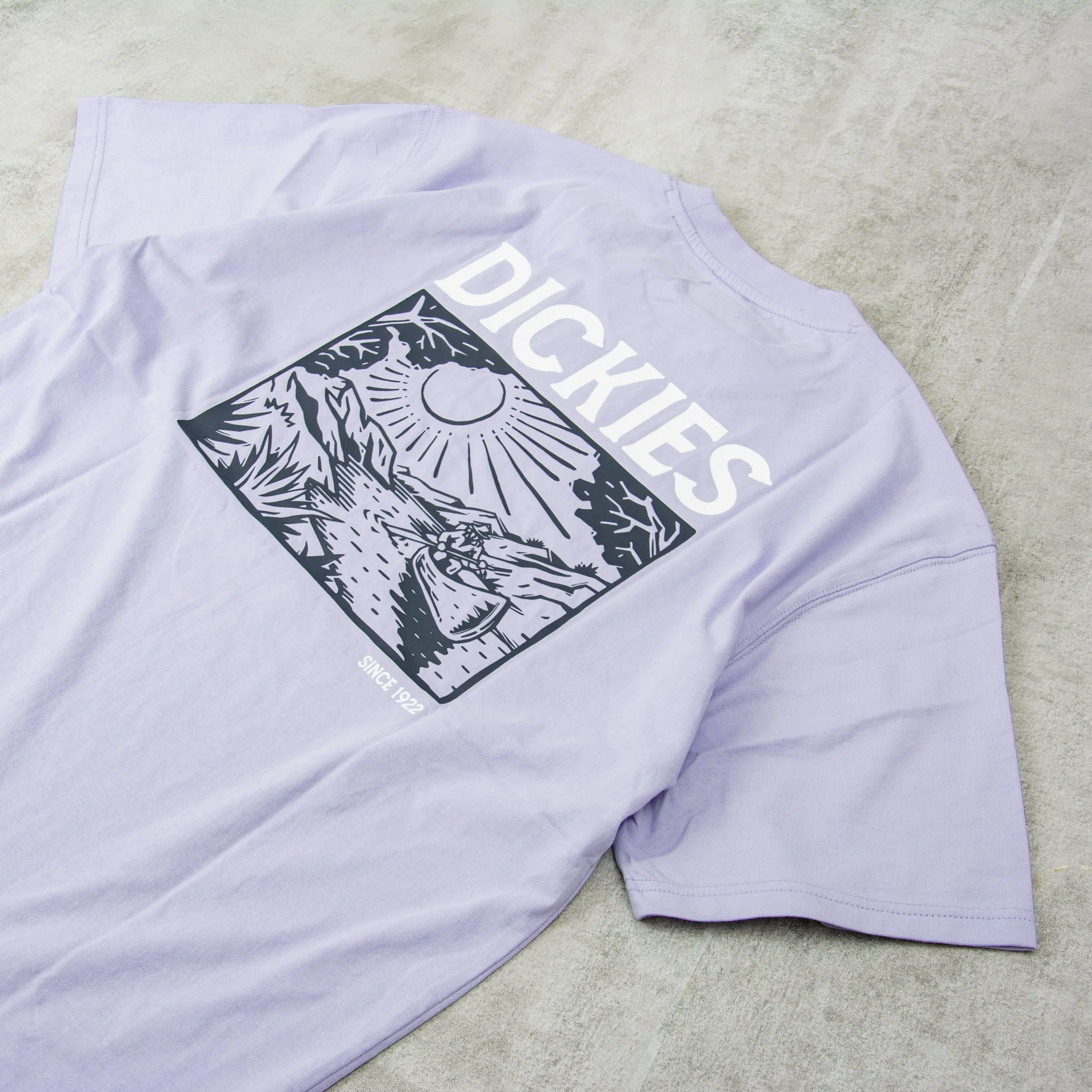 Dickies Patrick Springs Tee - Cosmic Sky