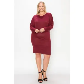 Draped Neck Long Sleeve Dress